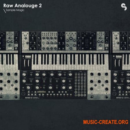 Sample Magic Raw Analogue Techno (MULTiFORMAT) - сэмплы Techno