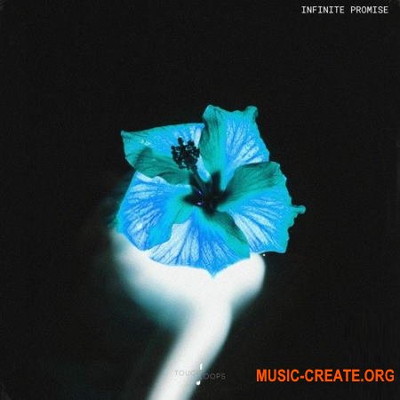 Touch Loops Infinite Promise (WAV) - сэмплы UK Garage