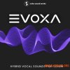 Echo Sound Works EVOXA for Serum (MULTiFORMAT) - гибридные вокальные пресеты Echo Sound Works EVOXA for Serum (MULTiFORMAT) - гибридные вокальные пресеты