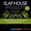 Baltic Audio Slap House Bass Loops Vol 3 (WAV) - сэмплы Slap House Baltic Audio Slap House Bass Loops Vol 3 (WAV) - сэмплы Slap House
