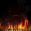 Soul Surplus The Cookout (Compositions and Stems) (WAV) - сэмплы Soul Soul Surplus The Cookout (Compositions and Stems) (WAV) - сэмплы Soul