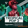 Singomakers Tropical Pop 2 (WAV REX) - сэмплы Tropical Pop, Reggaeton