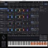 KORG Wavestate Native v1.5.2 WiN / v1.4.6 macOS + Factory Data 2024