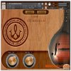 UL - The House of Sound Mandolin v2.2 (KONTAKT) - библиотека звуков мандолины UL - The House of Sound Mandolin v2.2 (KONTAKT) - библиотека звуков мандолины