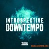 THICK Sounds Introspective Downtempo (WAV) - сэмплы Downtempo THICK Sounds Introspective Downtempo (WAV) - сэмплы Downtempo