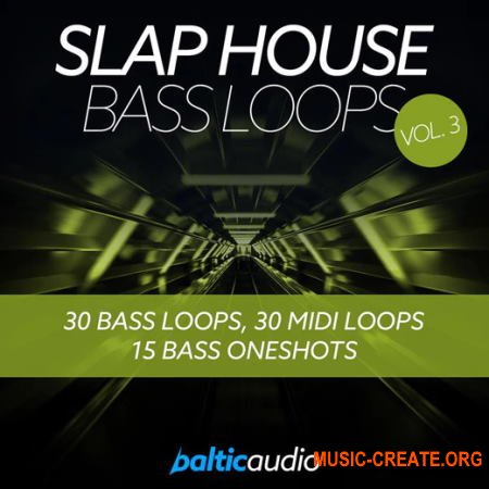 Baltic Audio Slap House Bass Loops Vol 3 (WAV) - сэмплы Slap House