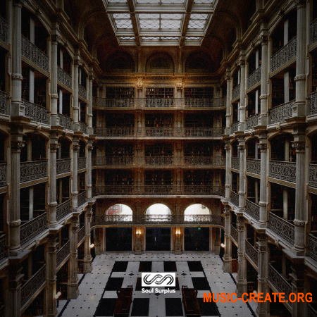 Soul Surplus Echochamber (WAV) - сэмплы Soul
