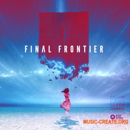 Black Octopus Sound CallumCantSleep - Final Frontier (WAV Serum) - сэмплы Downtempo, Ambient, Cinematic, Future Garage, Lo-Fi
