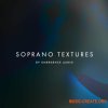 Emergence Audio Soprano Textures (KONTAKT) - вокальная библиотека Emergence Audio Soprano Textures (KONTAKT) - вокальная библиотека
