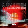 ModeAudio Apparition (WAV) - кинематографические сэмплы ModeAudio Apparition (WAV) - кинематографические сэмплы