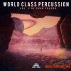 Dome Of Doom World Class Percussion Vol. 3 by Evan Fraser (WAV) - сэмплы перкуссии Dome Of Doom World Class Percussion Vol. 3 by Evan Fraser (WAV) - сэмплы перкуссии
