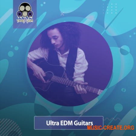 Vandalism Ultra EDM Guitars (WAV) - сэмплы гитары
