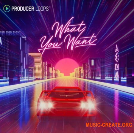 Producer Loops What You Want (WAV) - сэмплы Synthwave Pop