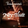 Gio Israel Persian Essentials Ney Flute (WAV) - сэмплы флейты Gio Israel Persian Essentials Ney Flute (WAV) - сэмплы флейты