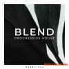 Zenhiser Blend Progressive House (WAV) - сэмплы Progressive House Zenhiser Blend Progressive House (WAV) - сэмплы Progressive House