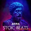 Rankin Audio Akira The Don presents Stoic Beats (WAV) - сэмплы Hip-Hop, Trap, Lo-Fi, Prog Rock Rankin Audio Akira The Don presents Stoic Beats (WAV) - сэмплы Hip-Hop, Trap, Lo-Fi, Prog Rock