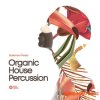 Black Octopus Sound - Basement Freaks Presents Organic House Percussion (WAV) - сэмплы перкуссии, House Black Octopus Sound - Basement Freaks Presents Organic House Percussion (WAV) - сэмплы перкуссии, House
