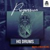 Vandalism HQ DRUMS Progression (WAV) - сэмплы ударных, Progressive House, Big Room Vandalism HQ DRUMS Progression (WAV) - сэмплы ударных, Progressive House, Big Room