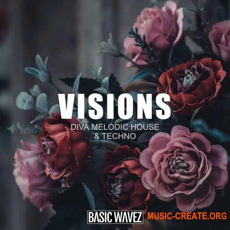 Production Music Live Visions Melodic House Diva Presets by Bound to Divide (Diva Presets)