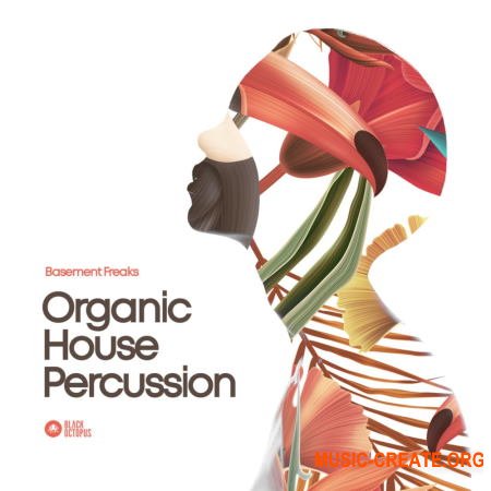 Black Octopus Sound - Basement Freaks Presents Organic House Percussion (WAV) - сэмплы перкуссии, House