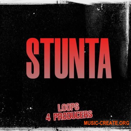 Loops 4 Producers Stunta (WAV) - сэмплы Hip Hop, Trap