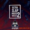 Vandalism Ultra Slap House Vocals 2 (WAV) - вокальные сэмплы Vandalism Ultra Slap House Vocals 2 (WAV) - вокальные сэмплы