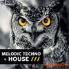 SHARP Melodic Techno and House (WAV MiDi) - сэмплы Techno, Tech House SHARP Melodic Techno and House (WAV MiDi) - сэмплы Techno, Tech House