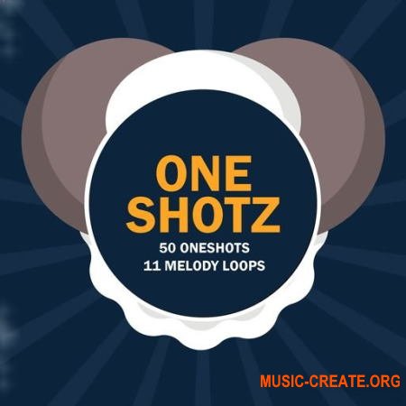 Rich Samples Oneshotz (WAV) - ван-шоты