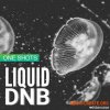 Whitenoise Records Liquid Drum & Bass ONESHOTS (WAV) - сэмплы DnB