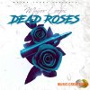 Dynasty Loops Dead Roses (WAV) - сэмплы Hip Hop, Trap Dynasty Loops Dead Roses (WAV) - сэмплы Hip Hop, Trap