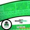 Vandalism Shocking Moombahton For Serum (WAV FXP) - сэмплы Moombahton Vandalism Shocking Moombahton For Serum (WAV FXP) - сэмплы Moombahton