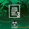Vandalism Ultra Future Rave Vocals 3 (WAV) - вокальные сэмплы Vandalism Ultra Future Rave Vocals 3 (WAV) - вокальные сэмплы