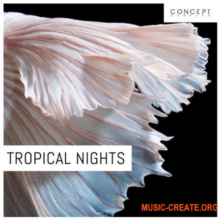 Concept Samples Tropical Nights (WAV) - сэмплы Tropical House, House, Pop, EDM