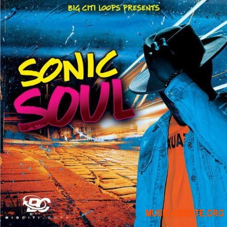 Big Citi Loops Sonic Soul 5 (WAV) - сэмплы Soul