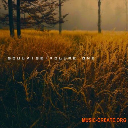 KAN Samples Soulvibe Vol.1 (WAV) - сэмплы Hip Hop