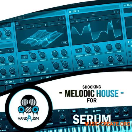 Vandalism Shocking Melodic House For Serum (WAV FXP)