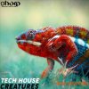 SHARP Tech House Creatures (WAV) - сэмплы Tech House SHARP Tech House Creatures (WAV) - сэмплы Tech House