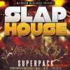 Mainroom Warehouse Slap House Superpack (Wav MIDI Spire Sylenth1 Serum) - сэмплы Slap House