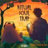 Dropgun Samples Ritual Soul Trap (WAV) - сэмплы Soul Trap Dropgun Samples Ritual Soul Trap (WAV) - сэмплы Soul Trap
