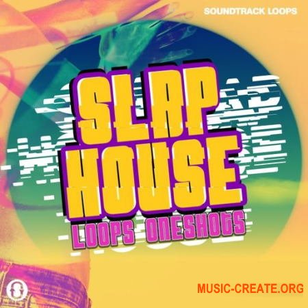 Soundtrack Loops Slap House (WAV) - сэмплы Slap House