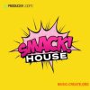 Producer Loops Smack House (WAV MIDI) - сэмплы Slap House Producer Loops Smack House (WAV MIDI) - сэмплы Slap House