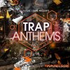 Future Loops Trap Anthems (WAV) - сэмплы Trap Future Loops Trap Anthems (WAV) - сэмплы Trap