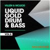 Villem & McLeod Samples & Sounds Liquid Gold Drum & Bass VOL 5 (WAV) - сэмплы DnB Villem & McLeod Samples & Sounds Liquid Gold Drum & Bass VOL 5 (WAV) - сэмплы DnB