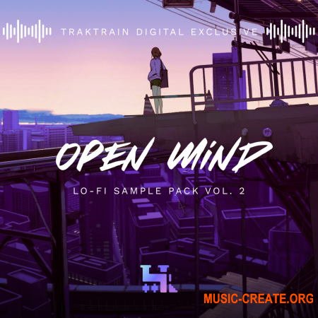 TrakTrain Open Mind Lo Fi Sample Pack vol. 2 (WAV) - сэмплы Lo-Fi Hip-Hop, Boombap, Soul Trap