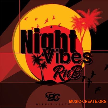 Big Citi Loops Night Vibes RnB (WAV) - сэмплы RnB
