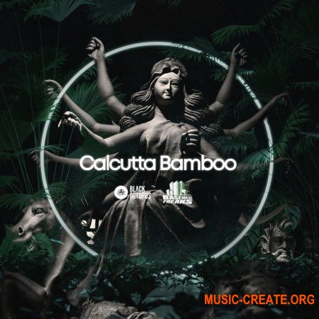 Black Octopus Sound Calcutta Bamboo (WAV) - сэмплы Ambient, Downtempo