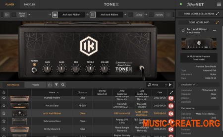 IK Multimedia TONEX MAX v1.0.1 (Team R2R) - гитарный усилитель, FX