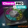 W.A. Production CHORDS Pro + Notes v1.0.0 WiN (TeamCubeadooby) - MIDI процессор