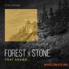 That Sound Forest X Stone (WAV) - звуки деревьев, камней That Sound Forest X Stone (WAV) - звуки деревьев, камней