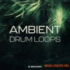 New Loops Ambient Drum Loops (WAV) - драм сэмплы New Loops Ambient Drum Loops (WAV) - драм сэмплы